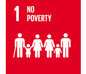 No poverty